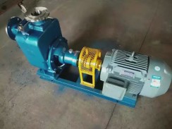 四川不鏽(xiù)鋼自吸泵(bèng)